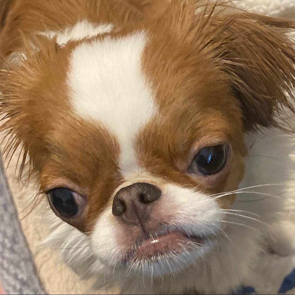 Mommy needs money for more toys for me.